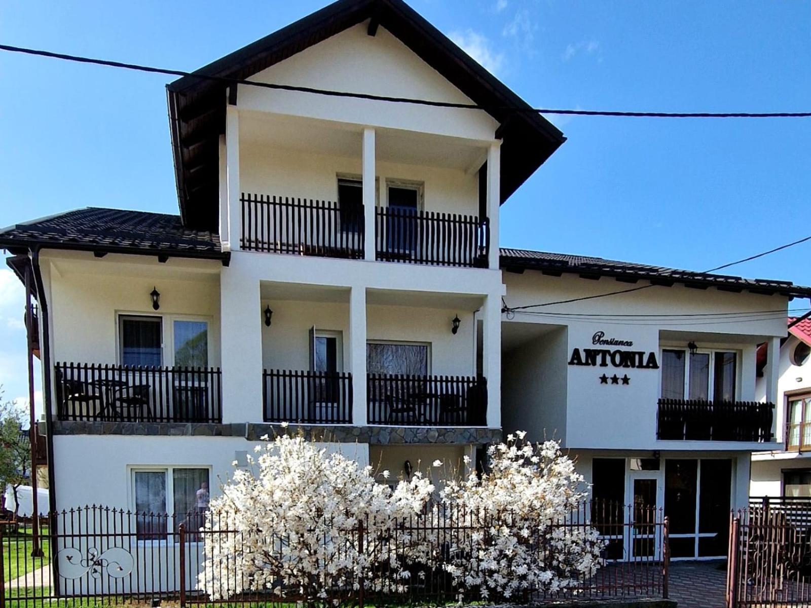 Pensiunea Antonia Vatra Dornei Extérieur photo